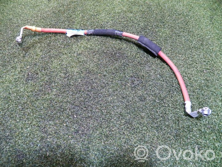 Renault Trafic III (X82) Positive cable (battery) 240809677R