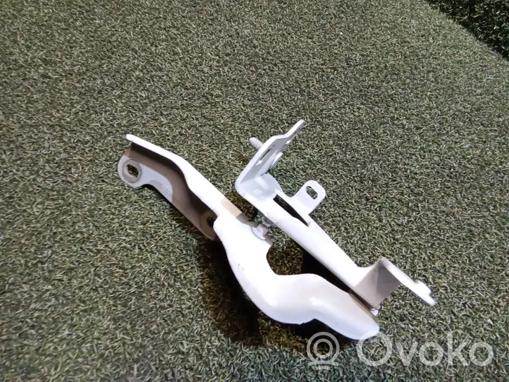 Opel Vivaro Engine bonnet/hood hinges 654010249R