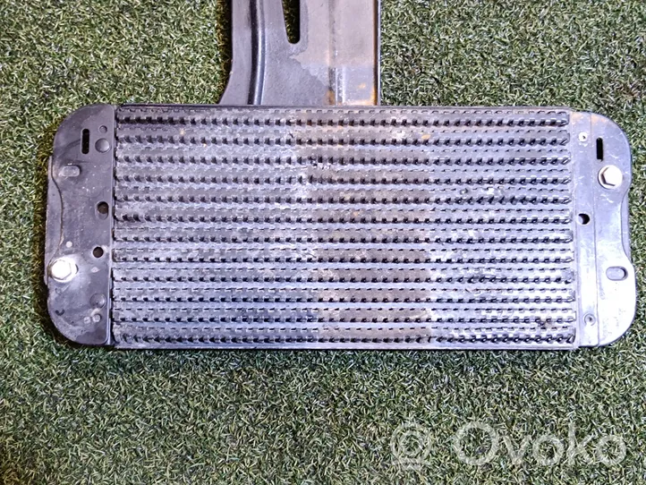 Opel Movano B Degvielas dzesētājs (radiators) 243561500R