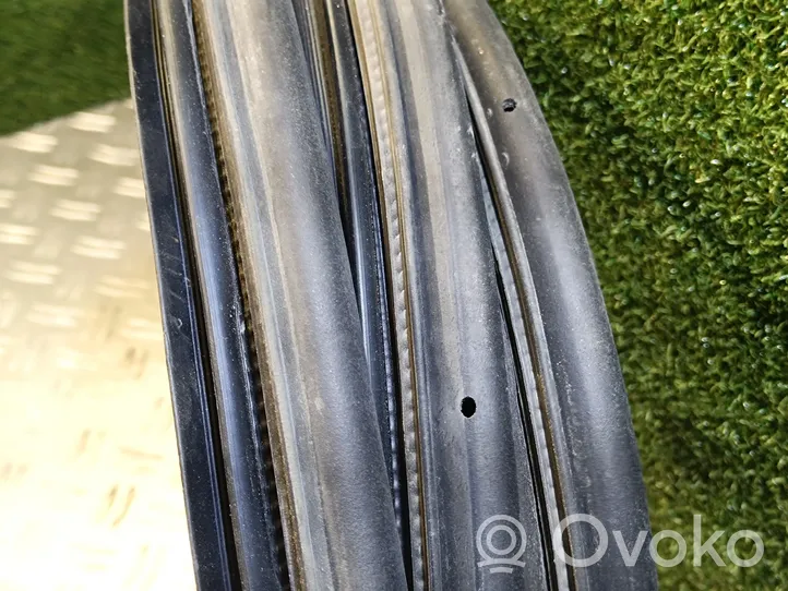 Mercedes-Benz Citan W415 Rubber seal sliding door (on door) 