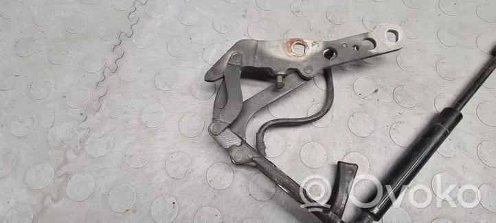 BMW X3 E83 Cerniere del vano motore/cofano 3411447