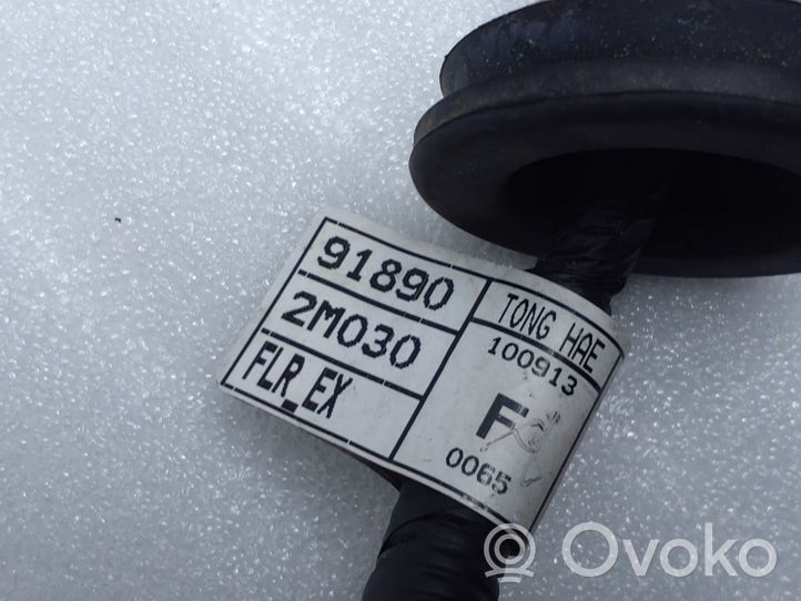 Hyundai Genesis Cablaggio del sensore di parcheggio (PDC) 918902M030