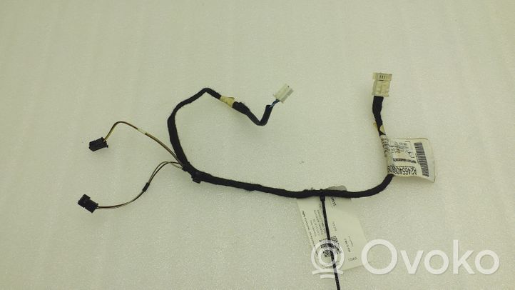 Mercedes-Benz A W176 Cableado de puerta trasera A2465406809