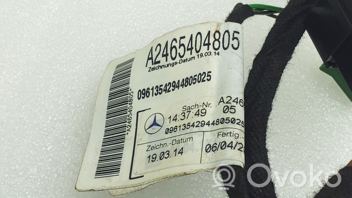 Mercedes-Benz A W176 Faisceau de câblage de porte avant A2465404805