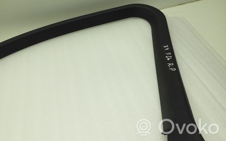 BMW X4 F26 Rivestimento modanatura del vetro della portiera anteriore 7335484