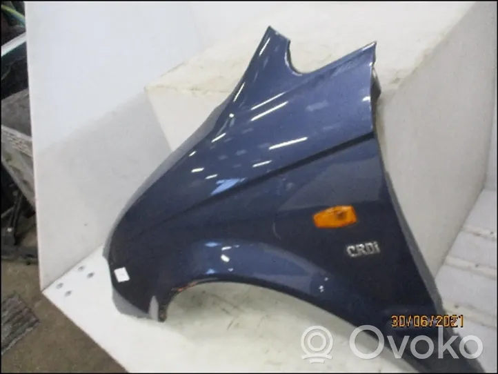 Hyundai Trajet Fender 663113A210