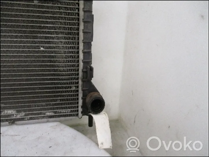 Ford Transit -  Tourneo Connect Dzesēšanas šķidruma radiators 1365996