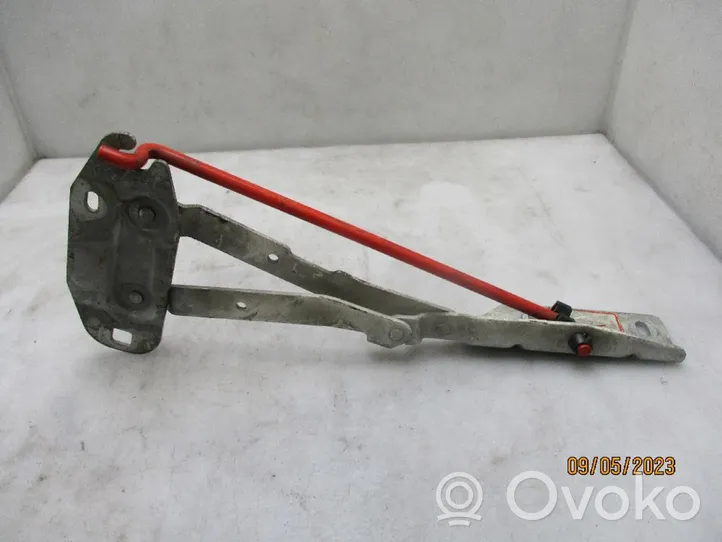 Citroen Jumpy Cerniere del vano motore/cofano 791241