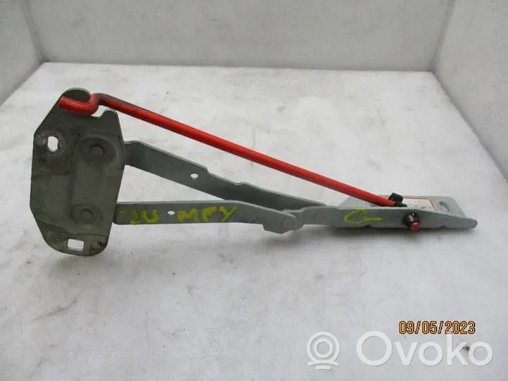 Citroen Jumpy Cerniere del vano motore/cofano 791241