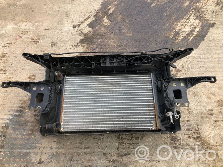 Seat Leon (1P) Radiatoru panelis (televizors) 1P0805588B