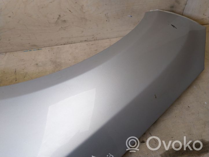 Ford Focus Fender 