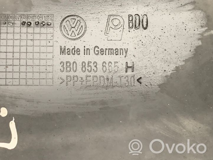 Volkswagen PASSAT B5.5 Grille inférieure de pare-chocs avant 3B0853666H