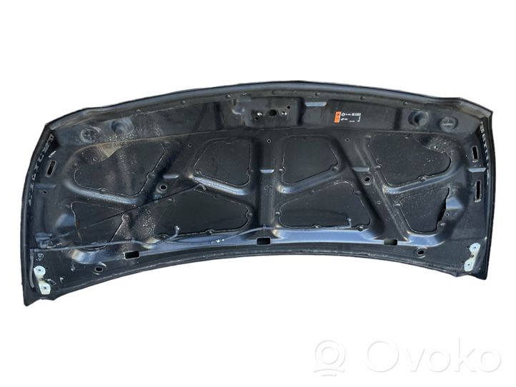 Chevrolet Spark Motorhaube 95233514