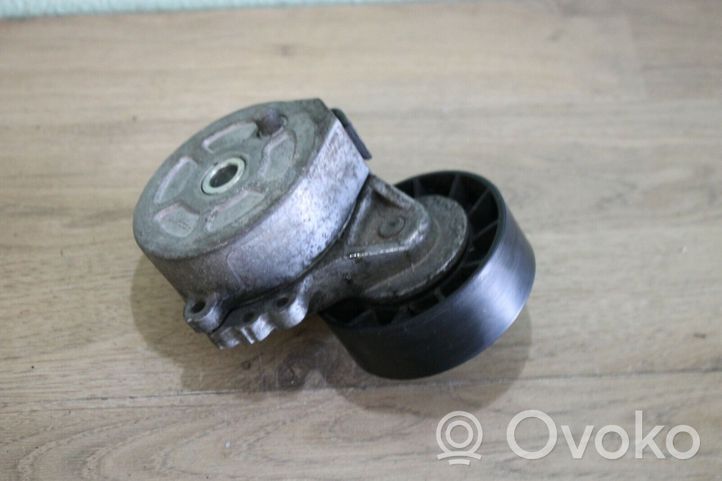 Volvo V50 Napinacz paska wielorowkowego / Alternatora 