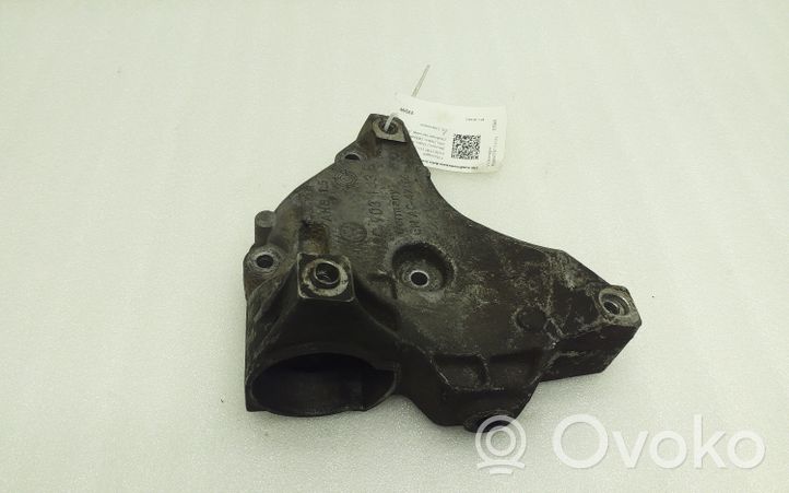 Volkswagen PASSAT B7 Napinacz paska klimatyzacji 03C903143B