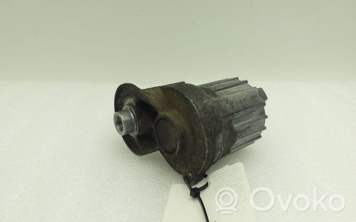 Volkswagen PASSAT B8 Tendicinghia generatore/alternatore 038903315AM