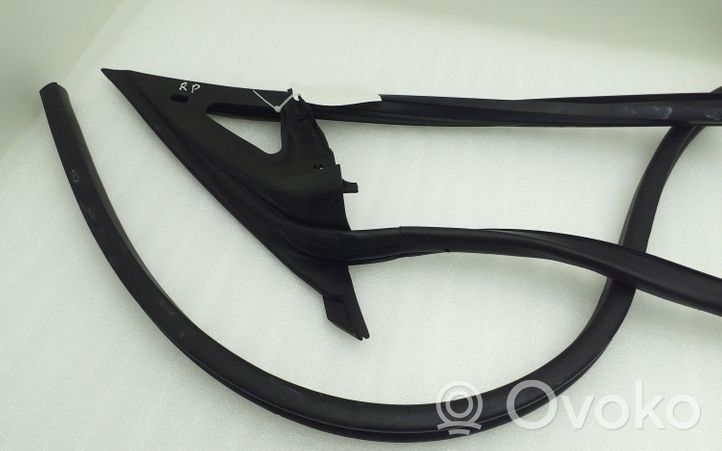 Mercedes-Benz CLS C219 Rubber seal front door (on door) A2197200678