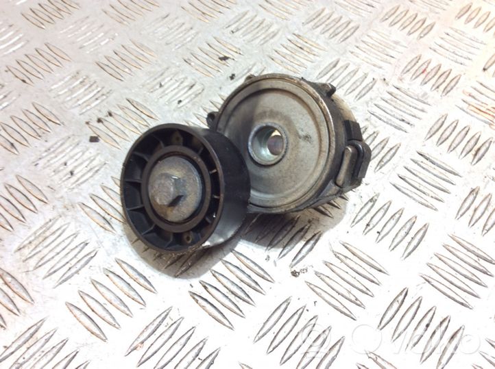 Ford Kuga II Generator/alternator belt tensioner 