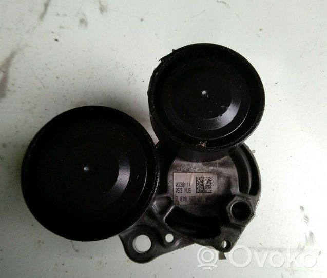 BMW 1 F20 F21 Napinacz paska wielorowkowego / Alternatora 781080702