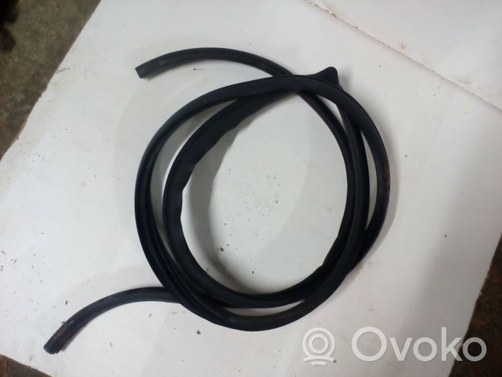 Opel Antara Front door rubber seal 