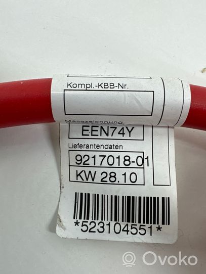 BMW X1 E84 Plus / Klema / Przewód akumulatora 9217018