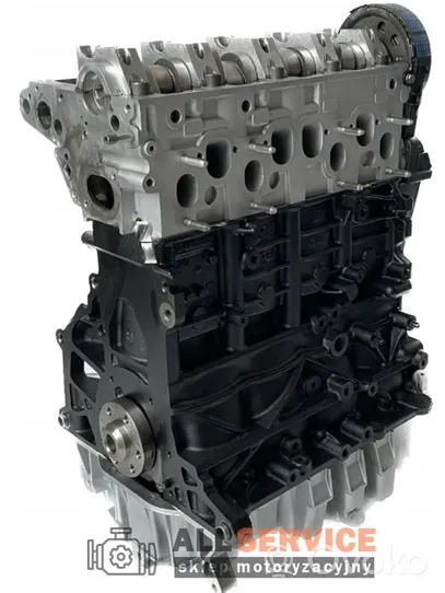 Skoda Octavia Mk2 (1Z) Blok silnika BXE