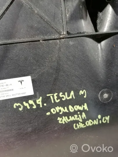 Tesla Model 3 Välijäähdyttimen ilmanohjauksen ilmakanava 107673200H