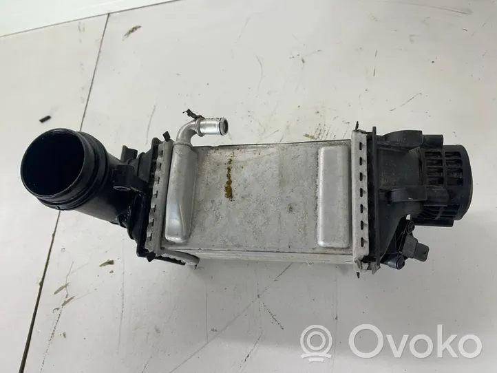 Volkswagen T-Roc Chłodnica powietrza doładowującego / Intercooler 04e145785e