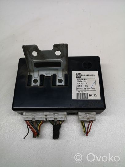 Hyundai i20 (PB PBT) Module confort 954101J100