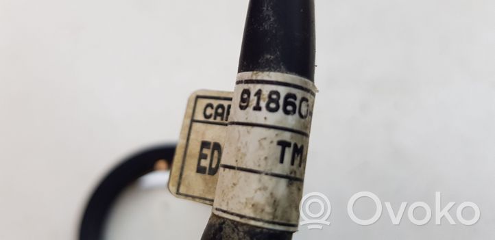 KIA Ceed Cable negativo de tierra (batería) 918601H230