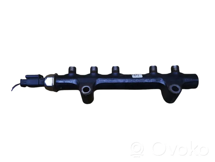 Citroen Berlingo Kraftstoffverteiler Einspritzleiste Verteilerrohr 9685297580