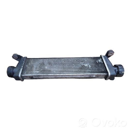 Mercedes-Benz Vaneo W414 Chłodnica powietrza doładowującego / Intercooler A1685000000