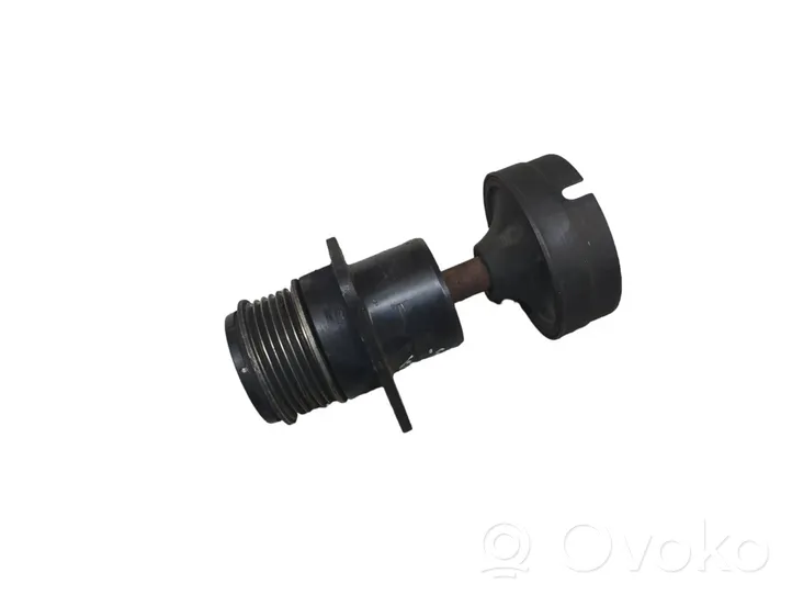 Ford Connect Alternator pulley 