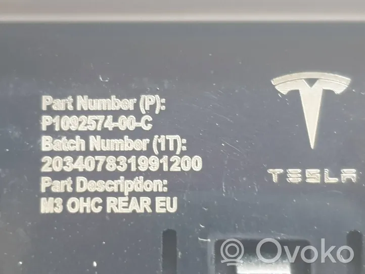 Tesla Model 3 Фонарь освещения передних мест P109257400C