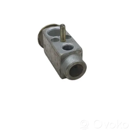 Mercedes-Benz B W245 Air conditioning (A/C) expansion valve 1718300184