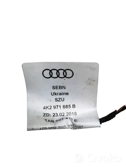 Audi A7 S7 4K8 Autres faisceaux de câbles 4K2971685B