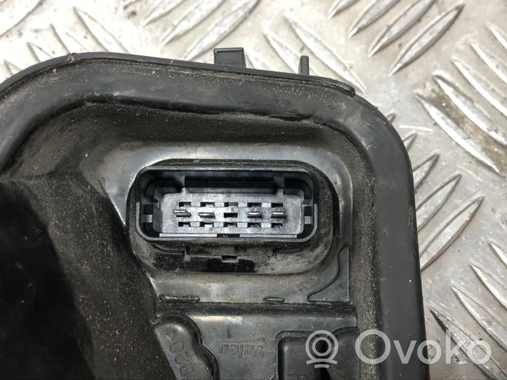 Renault Megane III Galinio žibinto detalė 265550010R