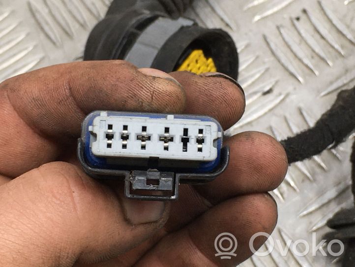 Citroen C5 Cablaggio/alloggiamento cablaggio della portiera anteriore 9672952380