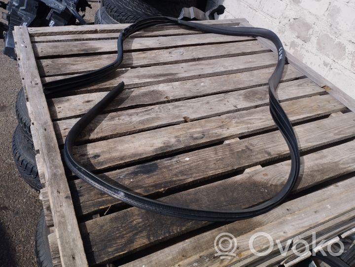 Ford Focus Front door rubber seal 