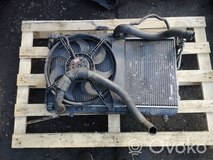 Hyundai Santa Fe Radiateur de refroidissement 2531026410