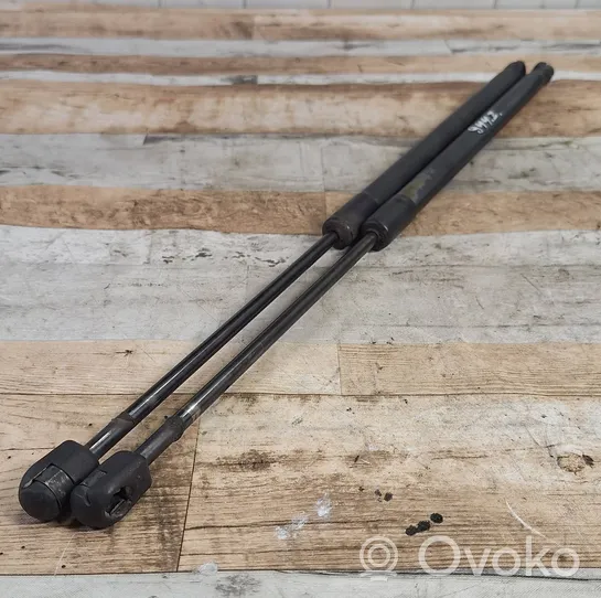 Opel Meriva A Tailgate/trunk strut/damper 9216WG0520N