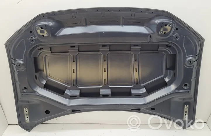 Volkswagen T-Roc Engine bonnet/hood 