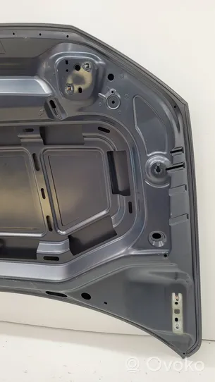 Volkswagen T-Roc Engine bonnet/hood 