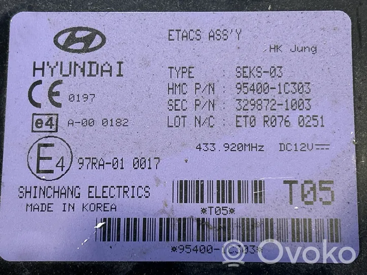 Hyundai Getz Mukavuusmoduuli 97RA010017