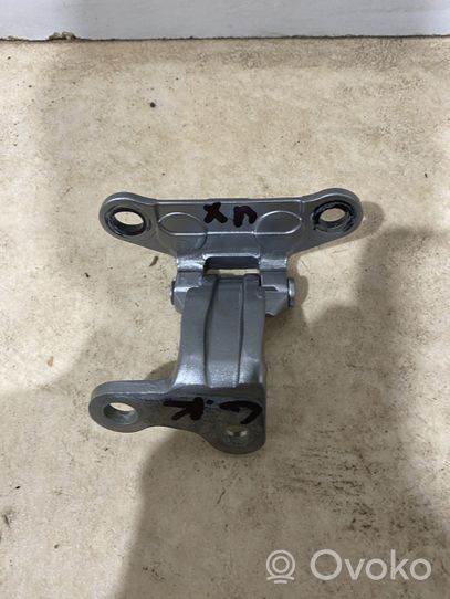 Lexus UX Rear door lower hinge 