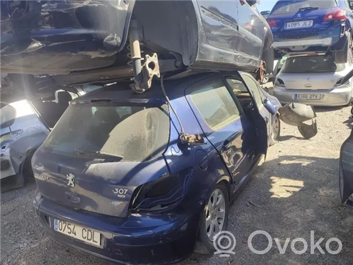 Peugeot 307 Kita (-os) sėdynė (-ės) 