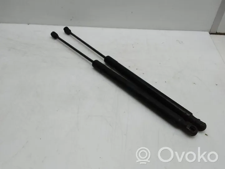 Volkswagen Tiguan Rear window strut damper Sinreferencia