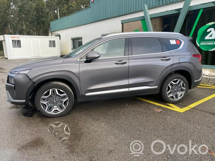 Hyundai Santa Fe Mécanisme manuel vitre arrière 