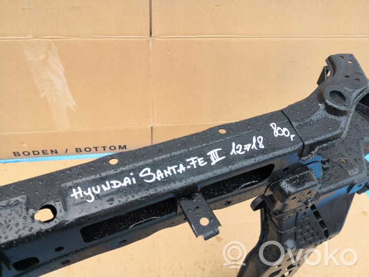 Hyundai Santa Fe Radiator support slam panel 641012WXXX