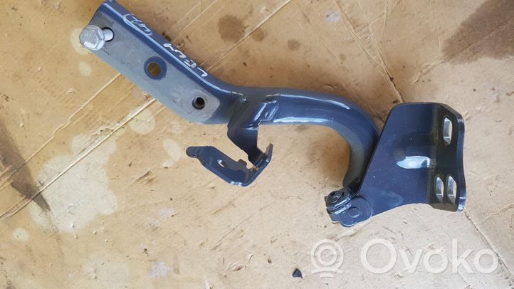 Mercedes-Benz Vito Viano W447 Cerniere del vano motore/cofano A4478807500